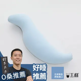 王樣的U型枕(波斯藍) 歷史價格詳細信息