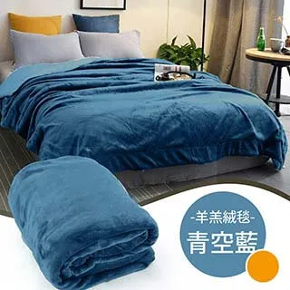 雙面素色 塔芙絨羊羔絨毯 綜合賣場 素色高雅 150cmX200cm (正負5cm) 歷史價格詳細信息