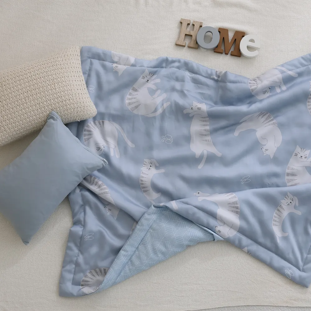 LAMINA 天絲兒童涼被 / 空調被3.5X4尺-小夥伴(藍) 歷史價格詳細信息