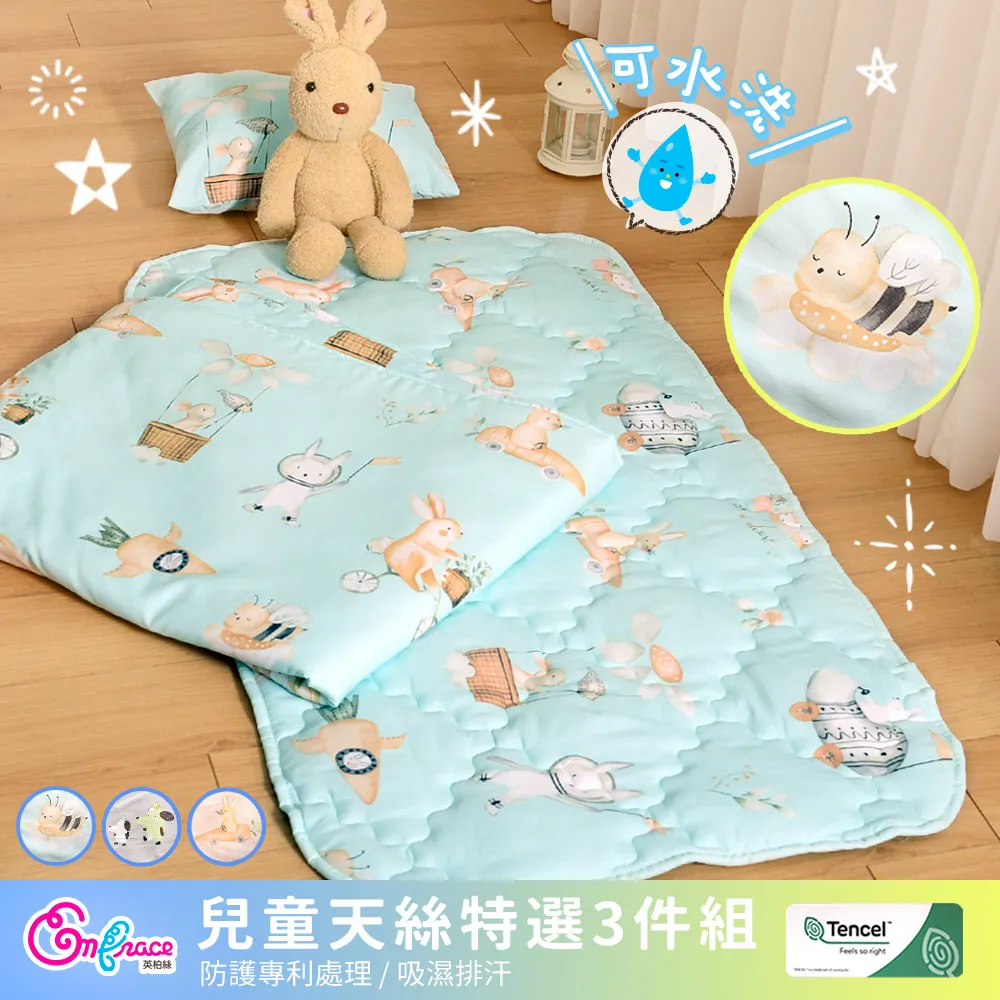 《Embrace英柏絲》Tencel天絲特柔軟 可水洗 止鼾枕 人體工學 MIT台灣製造 歷史價格詳細信息