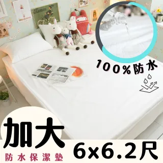 Anna Home/防水抗菌防蟎防污/床包式保潔墊/單人/台灣製/品質優異 歷史價格詳細信息