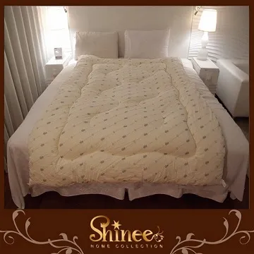 SHINEE《台製50%竹炭溫暖冬被》雙人棉被 歷史價格詳細信息