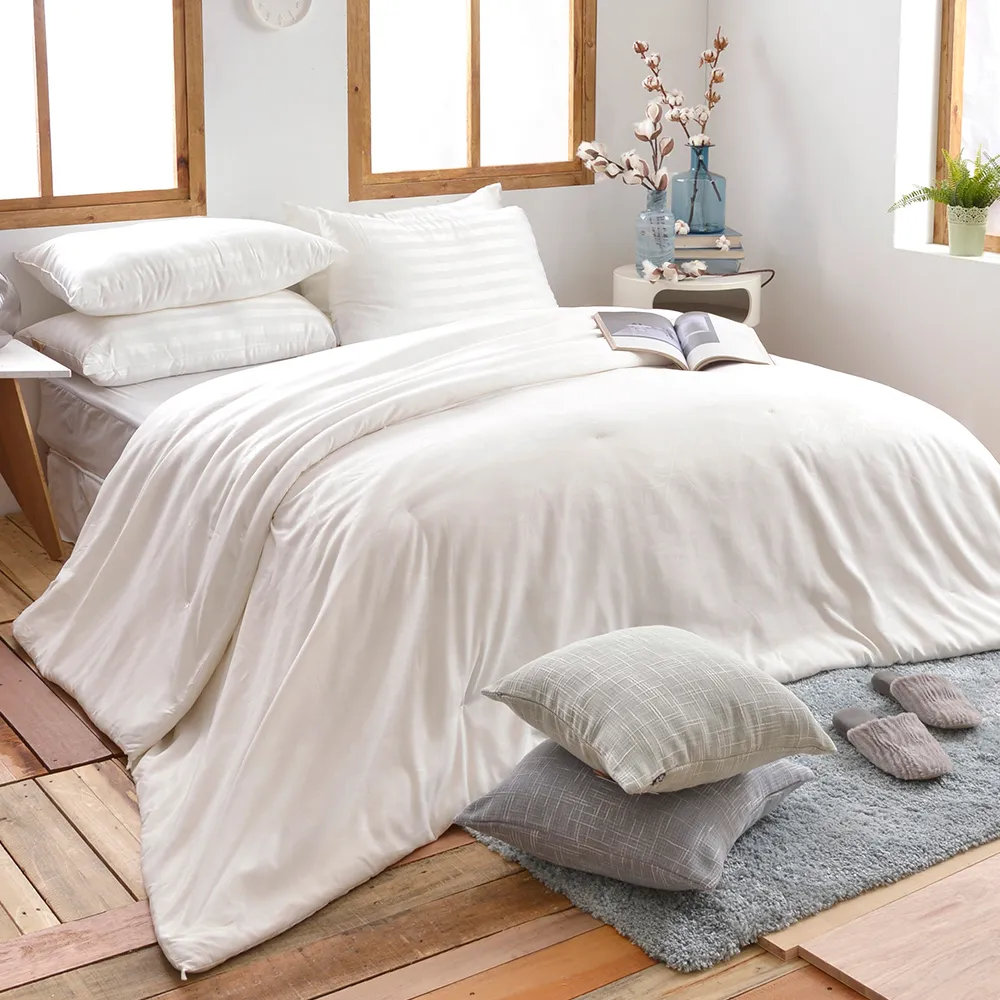 【義大利La Belle】100% 天絲 抗菌 Tencel 天絲涼被 (5x6.5尺) 空調被《純色典範-灰》｜涼被 歷史價格詳細信息