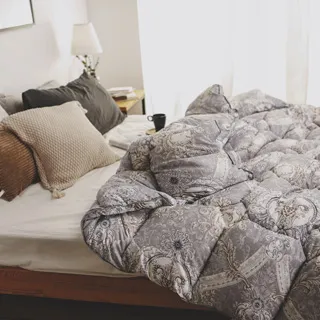 日和賞 科技羽絲絨被【風起】雙人/180*210cm 歷史價格詳細信息