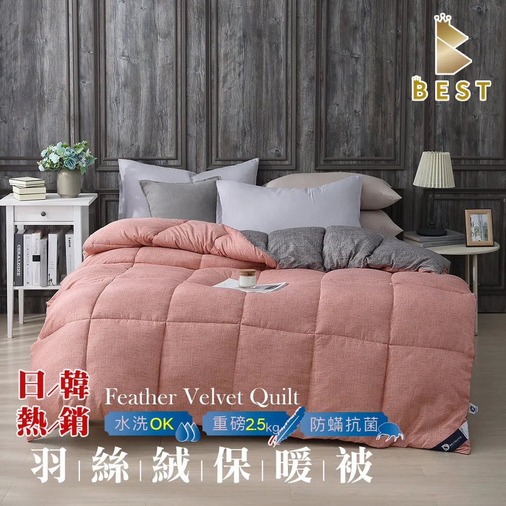 【BEST 貝思特】日韓熱銷羽絲絨水洗被 2.5KG 咖啡格調 歷史價格詳細信息