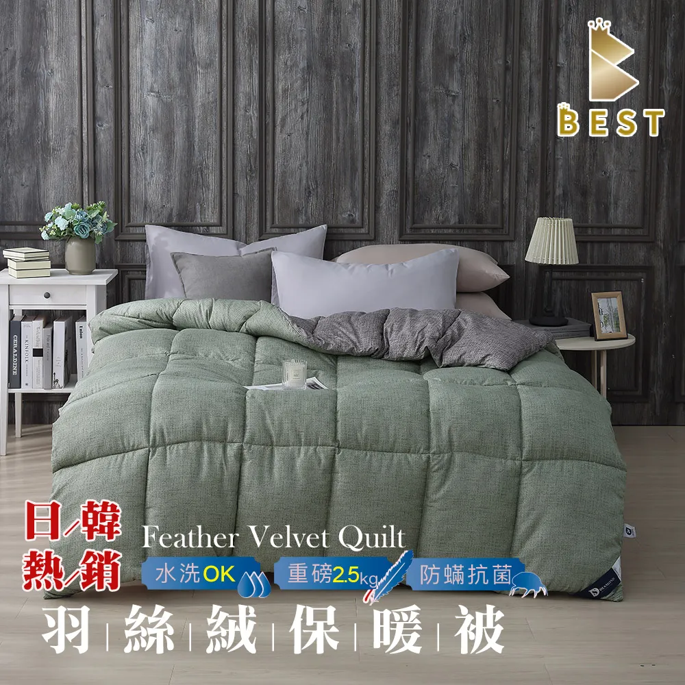 【BEST 貝思特】日韓熱銷羽絲絨水洗被 2.5KG 咖啡格調 歷史價格詳細信息