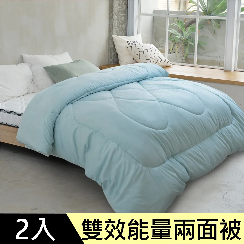 【LooCa】高效100%石墨烯遠紅外線5cmHT乳膠床墊-單人3尺(贈枕套+保固-速達) 歷史價格詳細信息