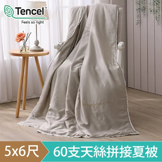 《HOYACASA和風日常》可水洗科技羽絲絨夏被/四季被/冬被(單人/雙人) 歷史價格詳細信息