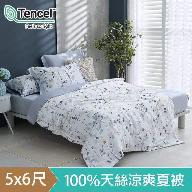 HOYACASA 60支萊賽爾天絲涼被(5x6尺)-多款任選 歷史價格詳細信息