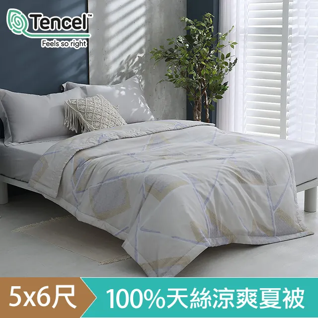 HOYACASA微甜晨霧- 100%天絲床包枕套三件組 (雙人/加大/特大) 歷史價格詳細信息