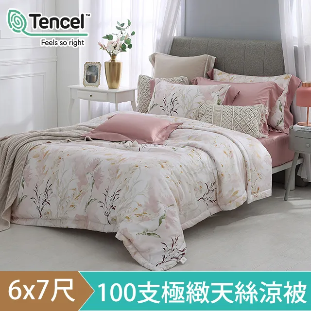 HOYA H Series 卡米洛-六星級淨潤透澤80支極緻天絲涼被(雙人6x7尺) 歷史價格詳細信息