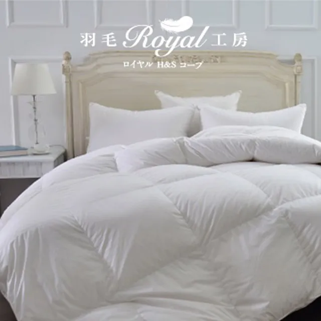 【皇室羽毛工房】羽絨枕50/50(一對) 歷史價格詳細信息