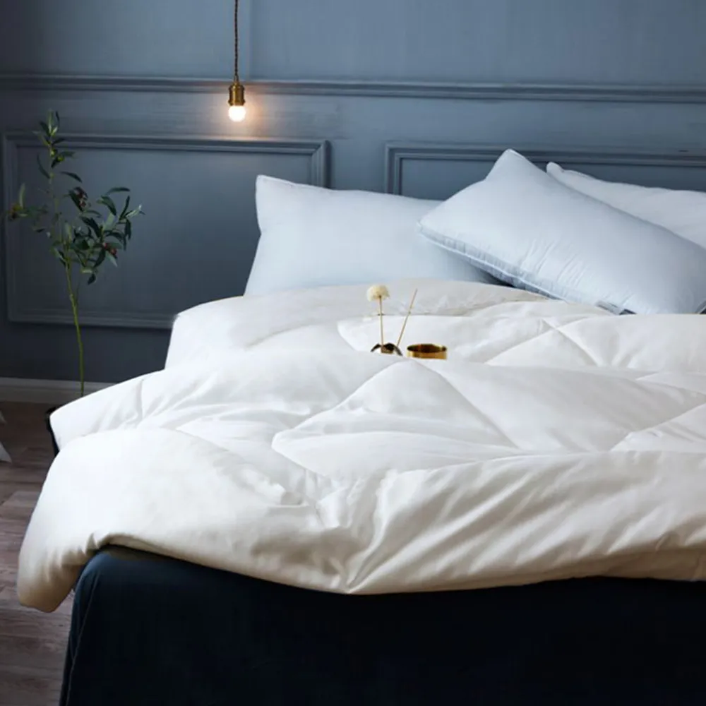 澳洲Simple Living 雙人可水洗立體車邊雲織賽羽絨冬被 歷史價格詳細信息