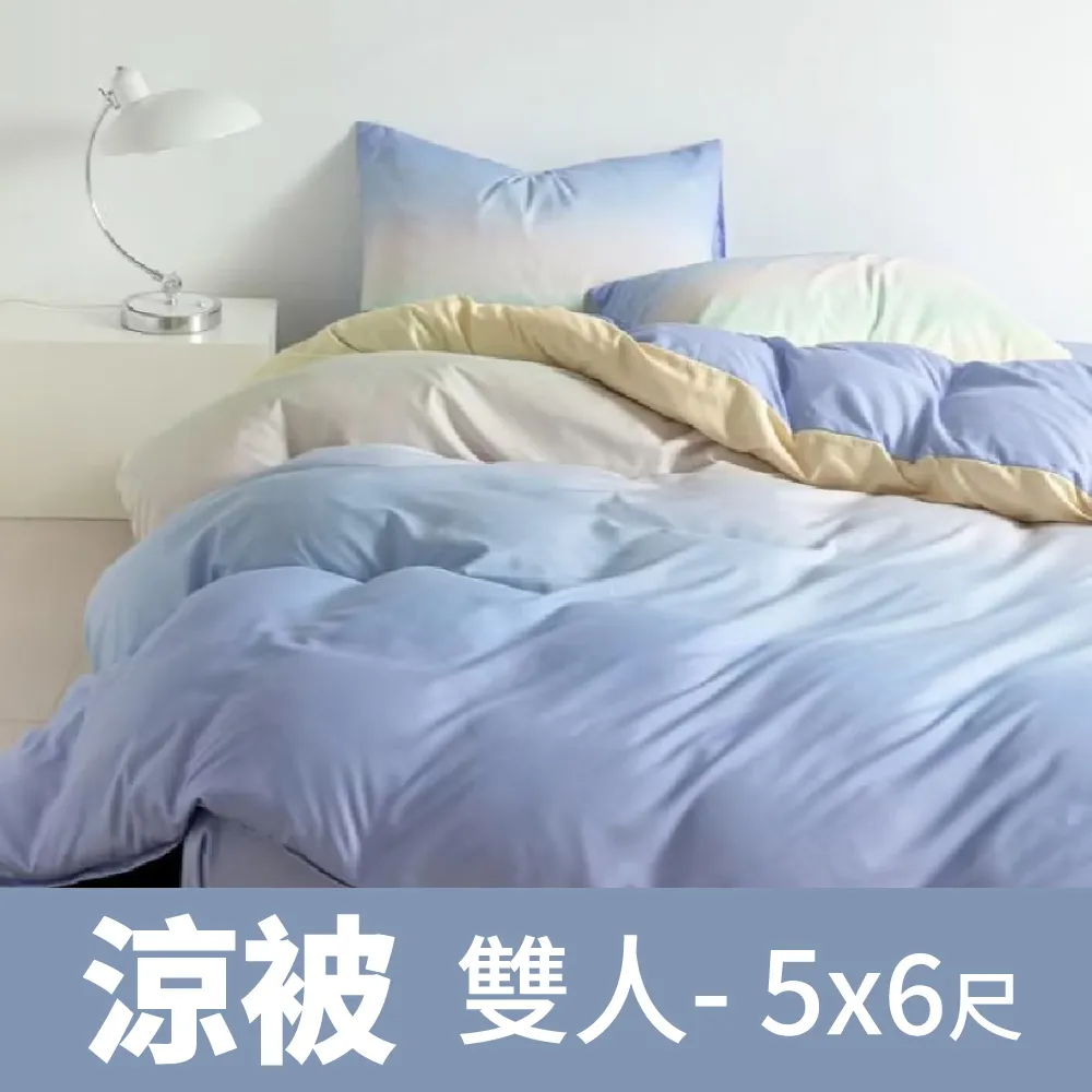 Artis - 雪紡棉 加大床包枕套組-羽葉 歷史價格詳細信息