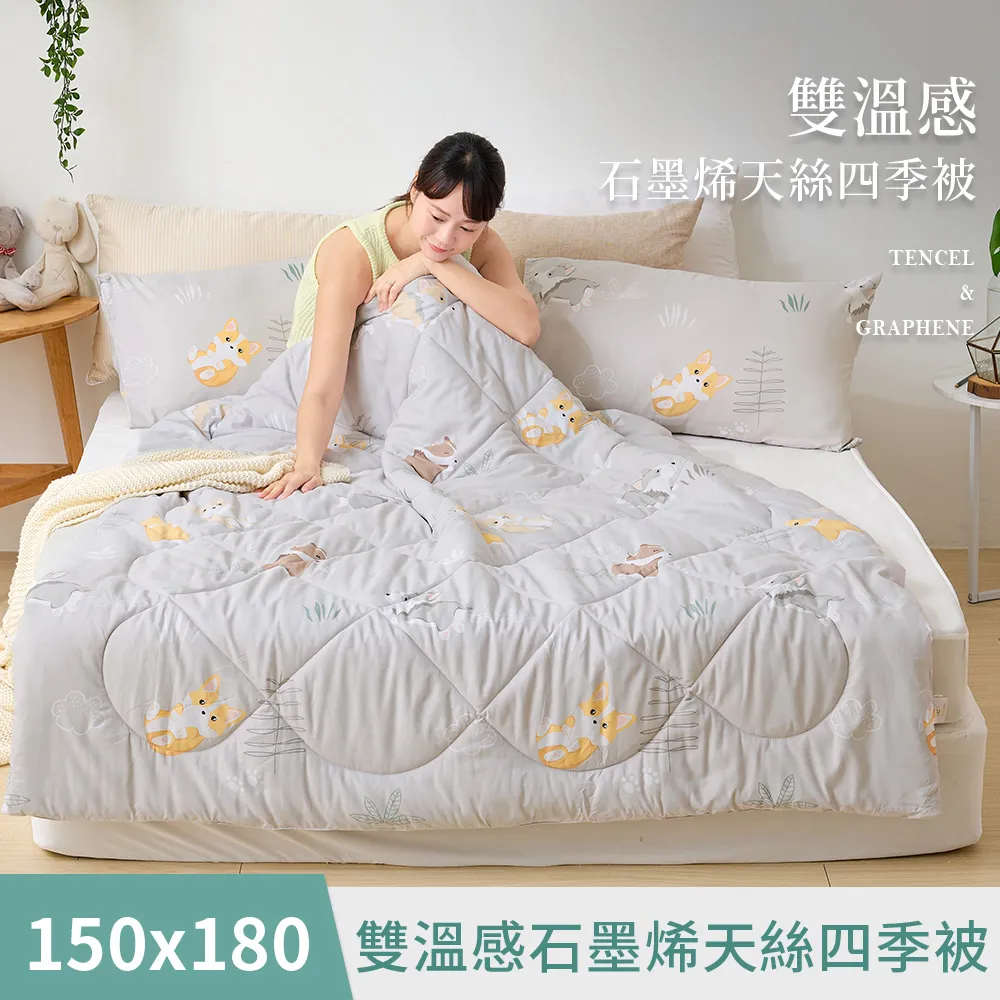 《DUYAN 竹漾》雙溫感 石墨烯天絲四季被-濱海輕風 歷史價格詳細信息