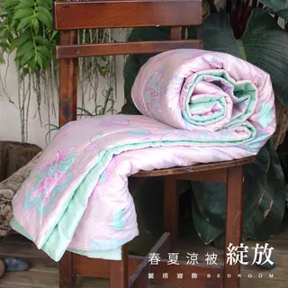 【LITA】春夏薄被胎(付收納袋)/雙人6x7尺/防蹣抗菌 歷史價格詳細信息