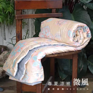 【LITA】春夏薄被胎(付收納袋)/雙人6x7尺/防蹣抗菌 歷史價格詳細信息