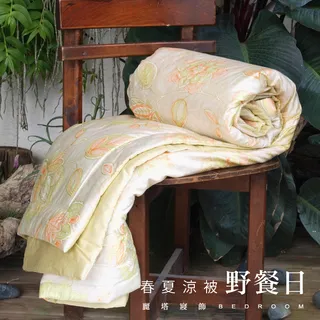 【LITA】春夏薄被胎(付收納袋)/雙人6x7尺/防蹣抗菌 歷史價格詳細信息