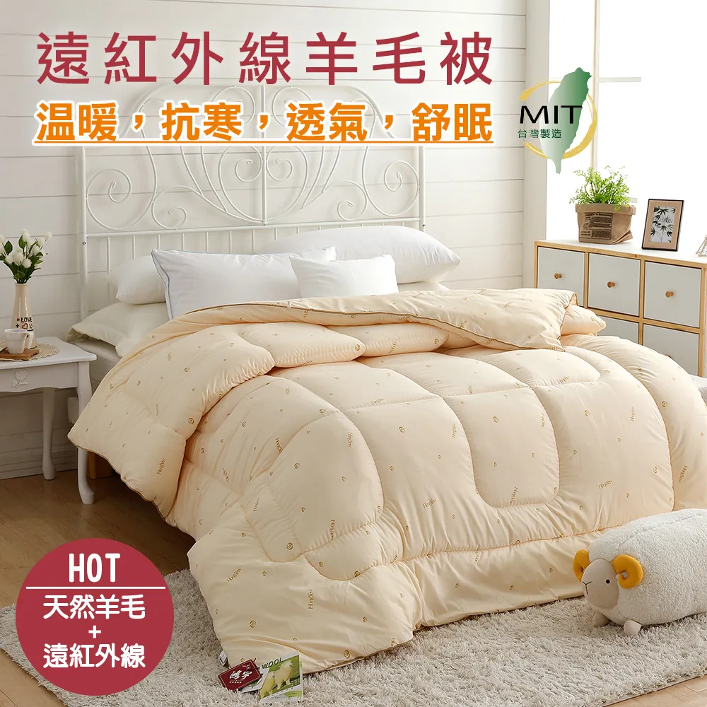 鴻宇HongYew 典雅竹炭記憶枕 歷史價格詳細信息