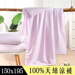 【Betrise春息】植萃系列100%奧地利天絲鋪棉涼被/四季被 5X6.5尺一入(獨家加大尺寸) 歷史價格詳細信息