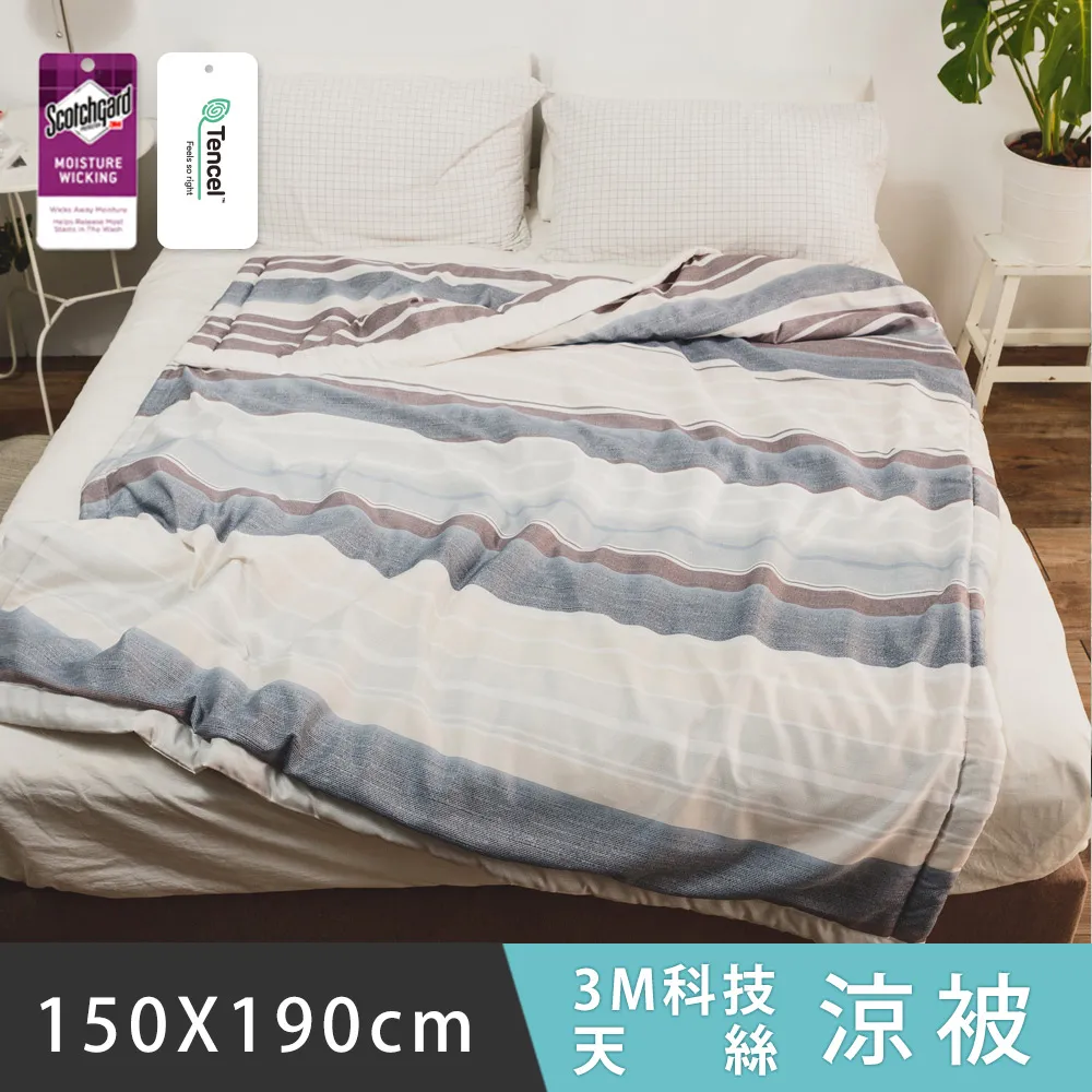 日和賞 3M科技天絲 涼被【漫漫時光】150×190cm 歷史價格詳細信息