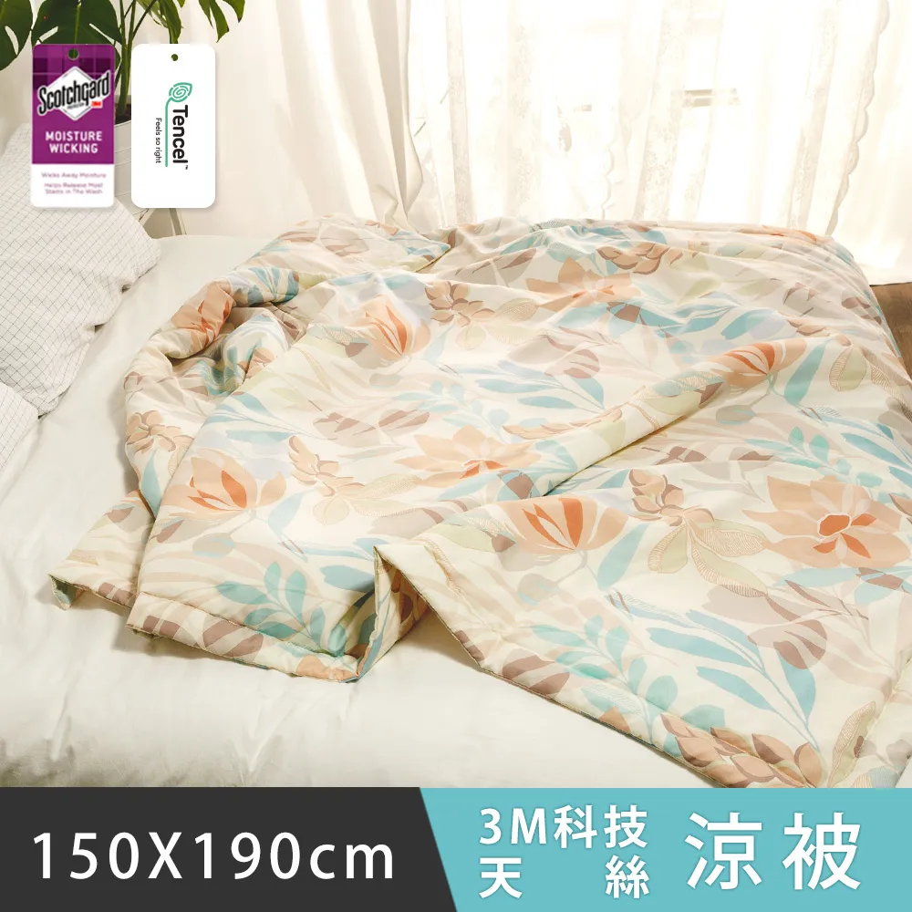 日和賞 3M科技天絲 涼被【漫漫時光】150×190cm 歷史價格詳細信息