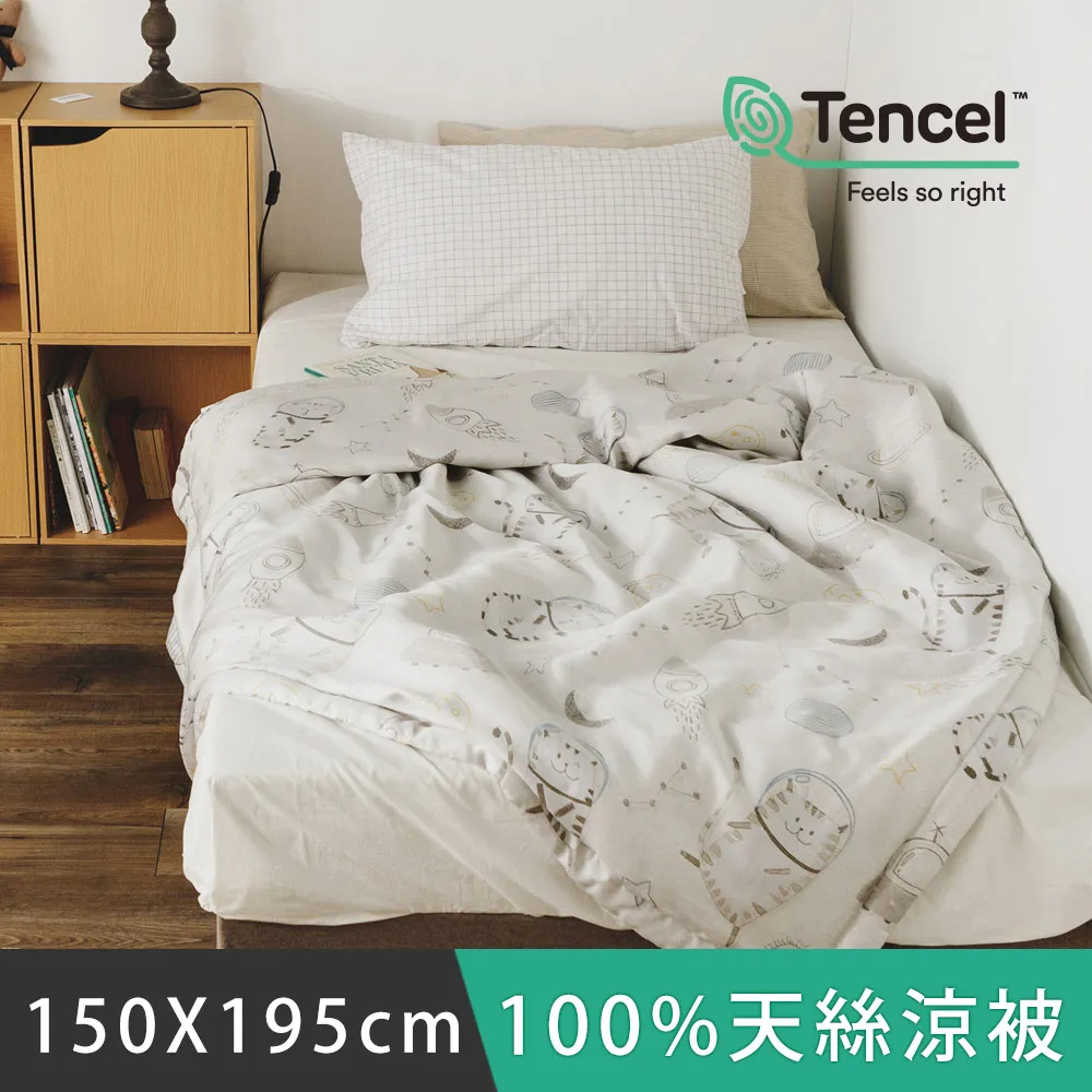 日和賞  MIT 100%天絲涼被【田園】150×195cm 歷史價格詳細信息