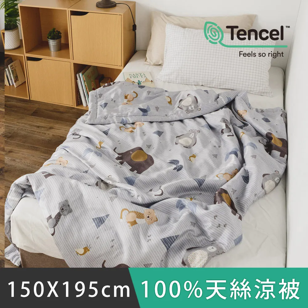 日和賞  MIT 100%天絲涼被【田園】150×195cm 歷史價格詳細信息