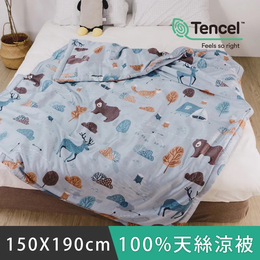 日和賞  MIT 100%天絲涼被【田園】150×195cm 歷史價格詳細信息