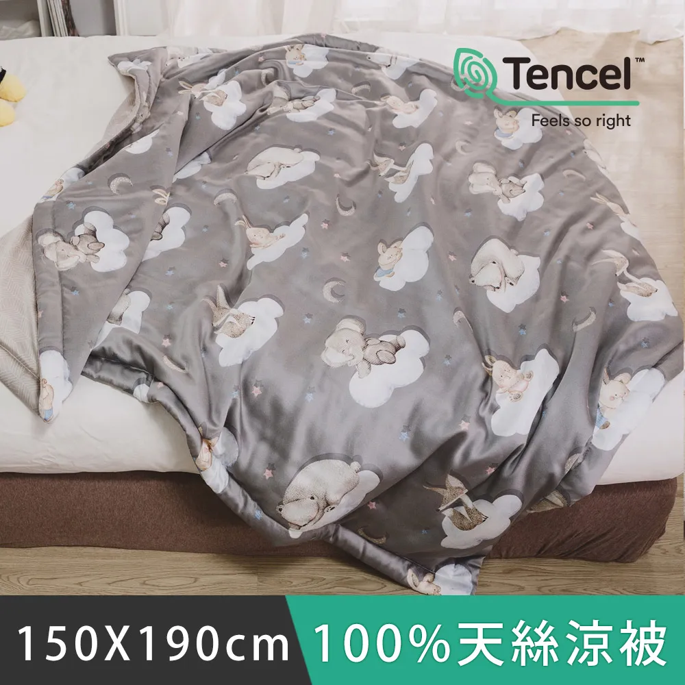 日和賞  MIT 100%天絲涼被【田園】150×195cm 歷史價格詳細信息