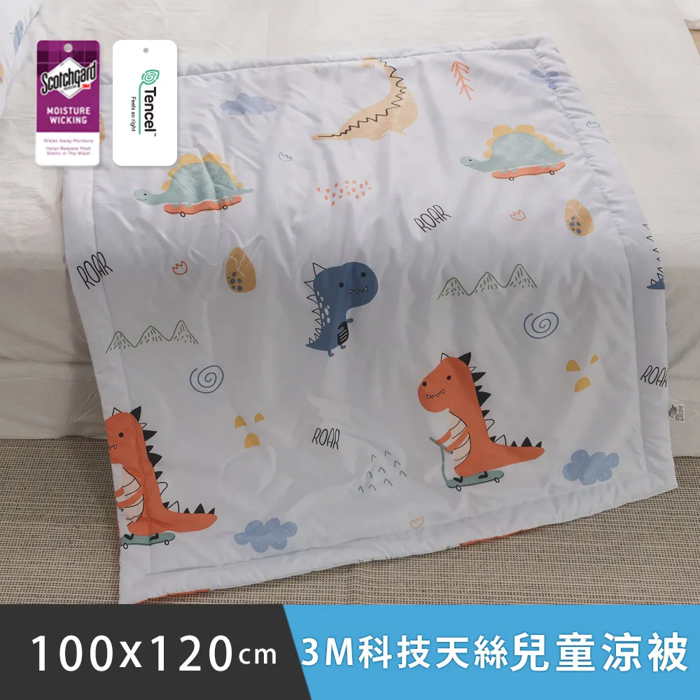 日和賞  MIT 3M科技天絲 涼被【花飛花漫】150×190cm 歷史價格詳細信息