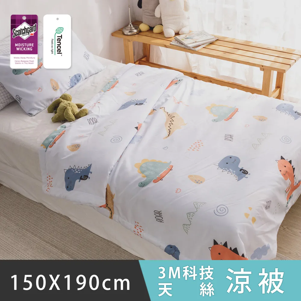 日和賞 3M科技天絲 涼被【漫漫時光】150×190cm 歷史價格詳細信息