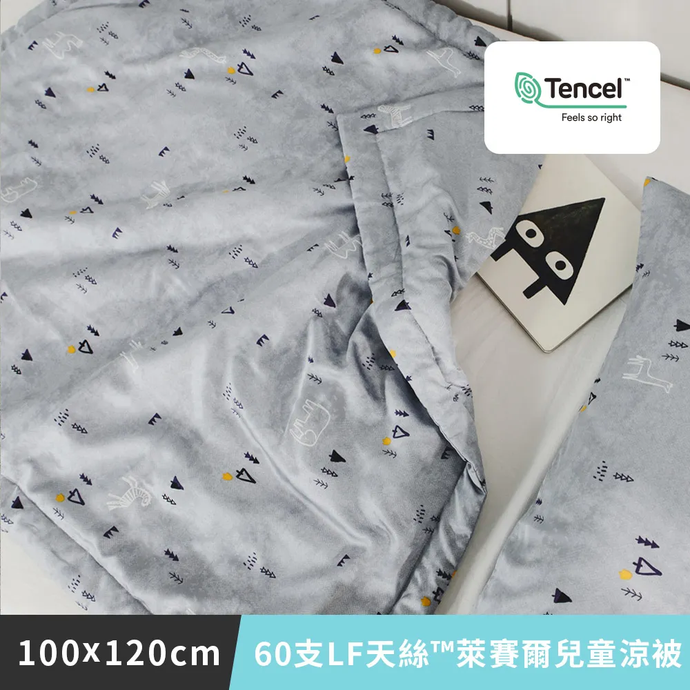 日和賞 MIT 60支LF天絲™萊賽爾-天絲涼被【花野】150×190cm 歷史價格詳細信息