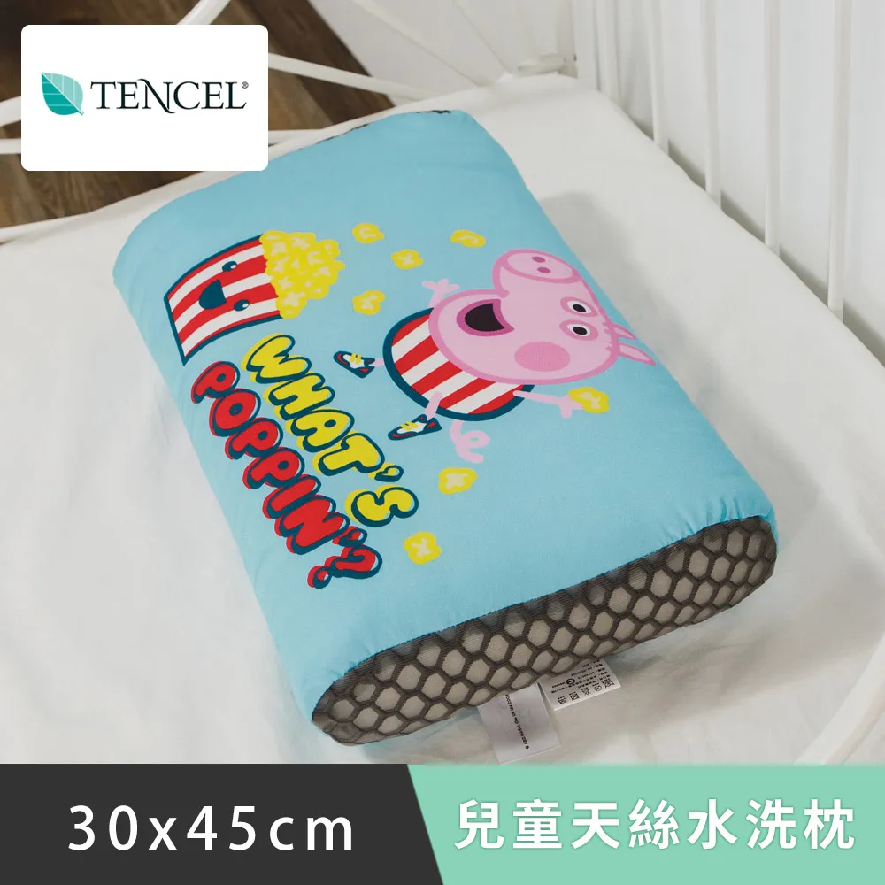 日本 佩佩豬 西瓜 粉紅豬小妹 喬治豬 媽媽豬 爸爸豬 娃娃 玩偶 日本空運~小太陽日本精品 歷史價格詳細信息