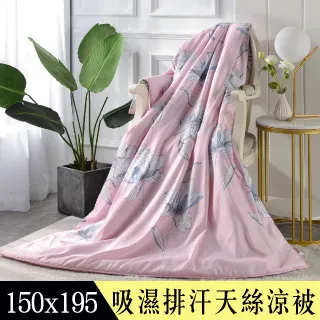 【Betrise一起耍吧】3M吸濕排汗天絲涼被5X6.5尺一入(獨家加大尺寸)-採用3M專利吸濕排汗藥劑 歷史價格詳細信息