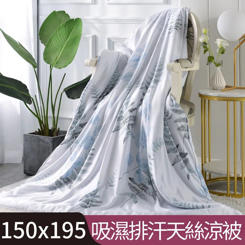 【Betrise寧夏初開】加大-3M專利天絲吸濕排汗四件式兩用被床包組-採用3M專利吸濕排汗藥劑 歷史價格詳細信息