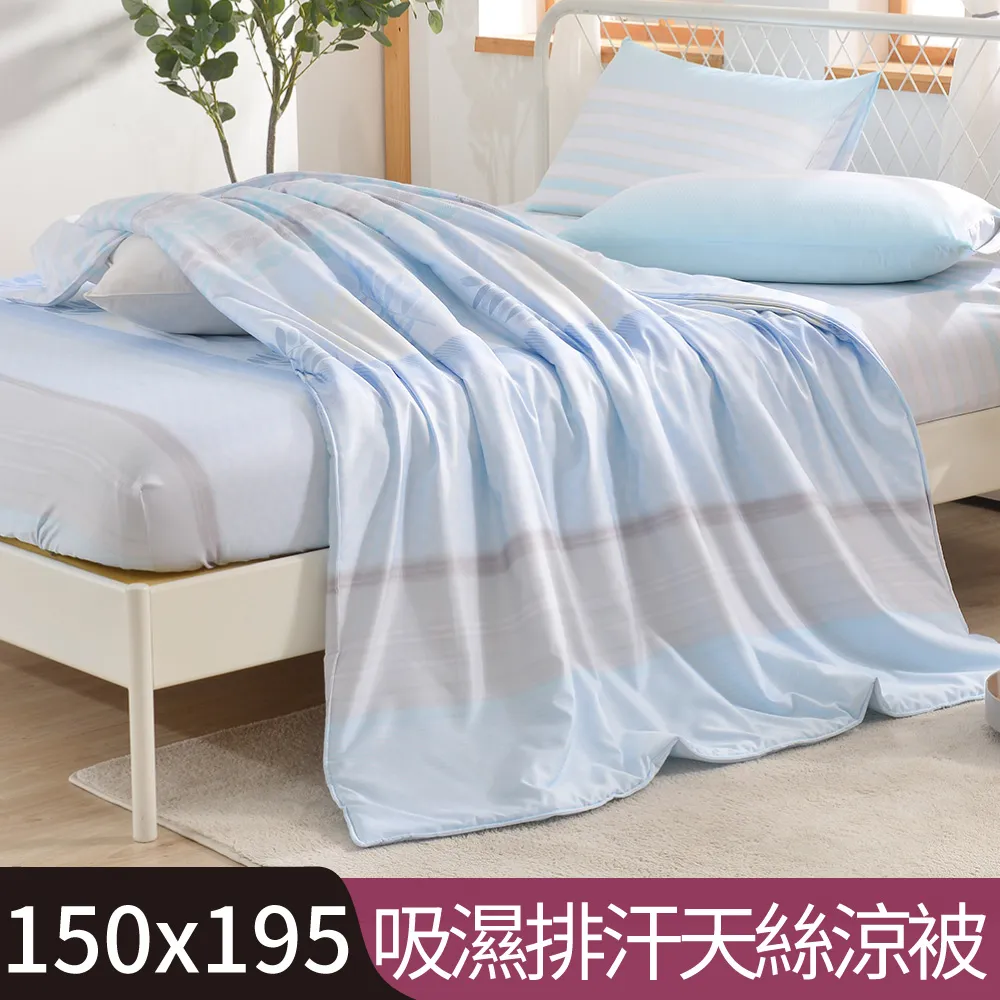 【Betrise風沐花意】C量能系列 300織紗100%純天絲™光淬石墨烯鋪棉兩用被套(雙人6X7尺) 歷史價格詳細信息