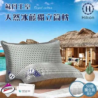 吸濕排汗天絲枕850g2入組/B0951-NP/藍+粉雙色設計/枕頭/枕芯/天絲枕/棉花枕 歷史價格詳細信息