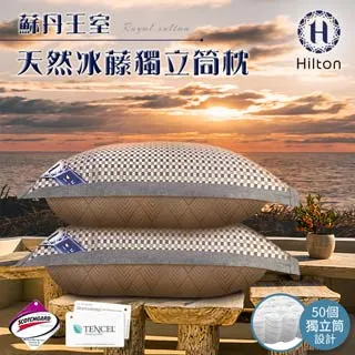 吸濕排汗天絲枕850g2入組/B0951-NP/藍+粉雙色設計/枕頭/枕芯/天絲枕/棉花枕 歷史價格詳細信息