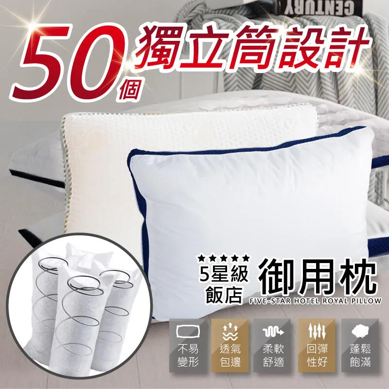 五星級御用羽之棉枕 2入 精緻嚴選素材 台灣製造 歷史價格詳細信息