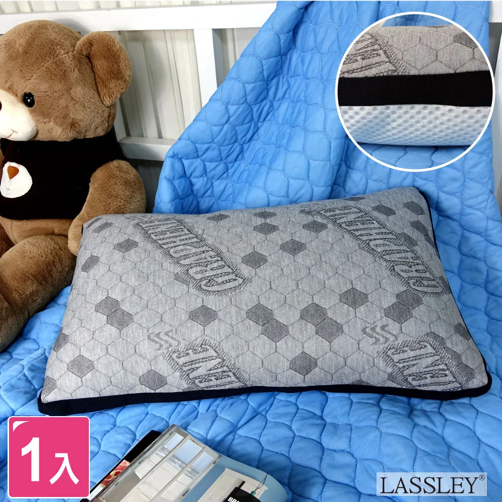 【LASSLEY】健康立體骨頭枕(大) 歷史價格詳細信息