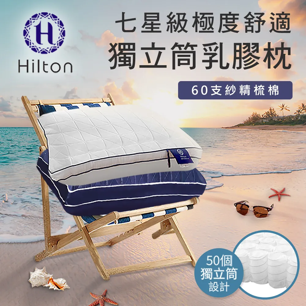 Hilton希爾頓 極度舒適獨立筒乳膠枕 藍色(B0110-N) 歷史價格詳細信息
