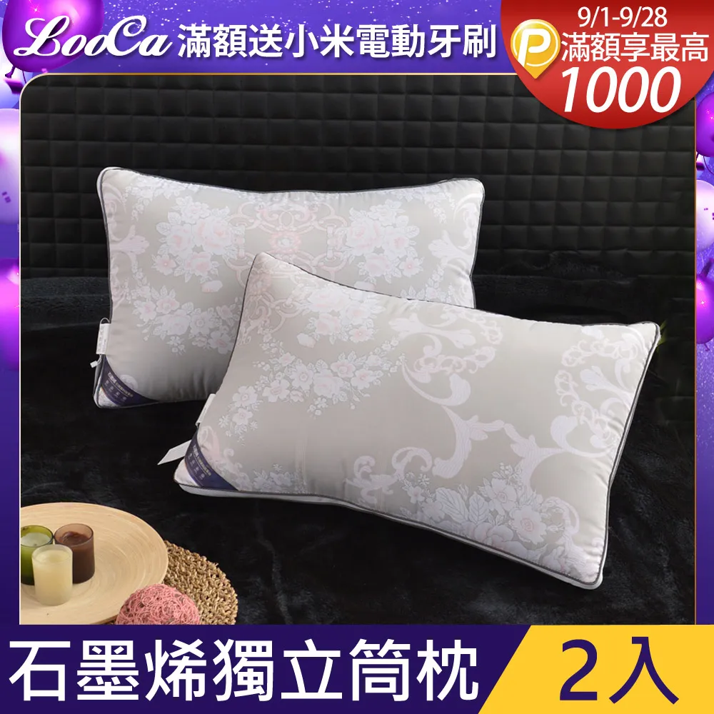 【LooCa】石墨烯遠紅外線獨立筒床墊輕量型(雙人5尺-循環組) 歷史價格詳細信息