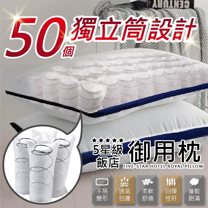 五星級御用羽之棉枕 2入 精緻嚴選素材 台灣製造 歷史價格詳細信息