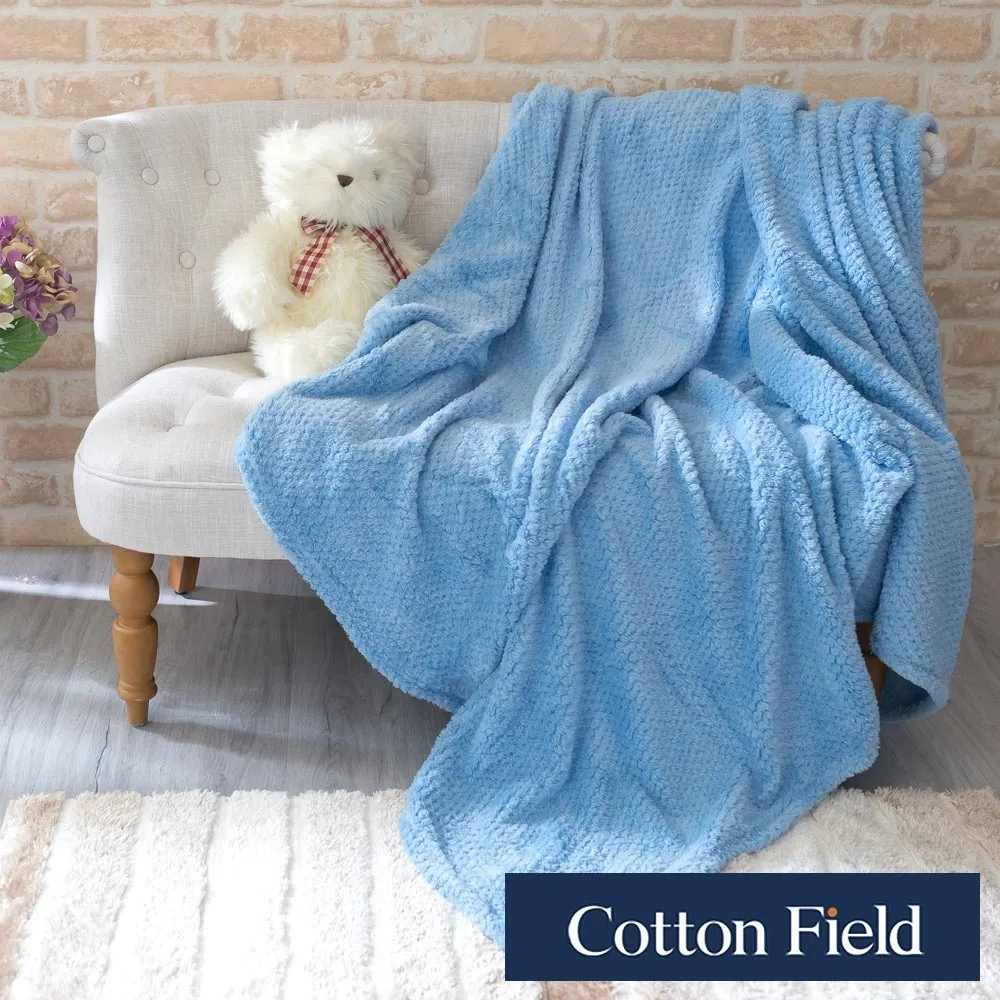 棉花田【菲柔】超細纖維超柔隨意毯-紅色(130x170cm) 歷史價格詳細信息