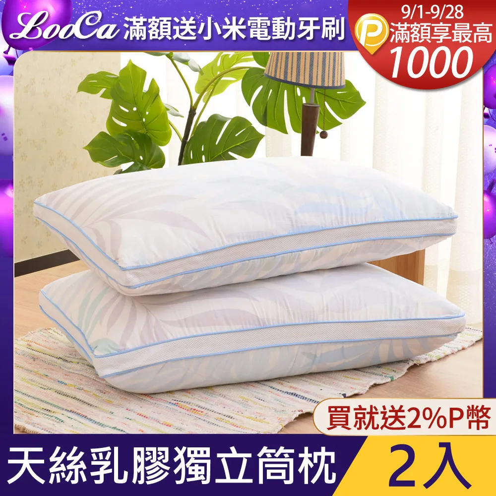 LooCa天絲纖維舒眠超透氣記憶枕2入-特大型 歷史價格詳細信息