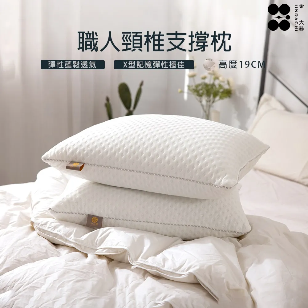 【金大器】天絲TENCEL舒柔枕｜抗菌防蟎透氣睡眠台灣製造 歷史價格詳細信息