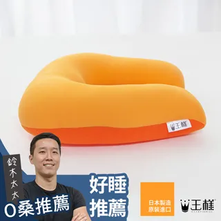 王樣的U型枕(波斯藍) 歷史價格詳細信息