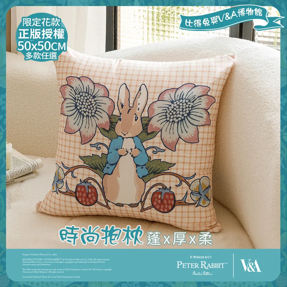 【PETER RABBIT】比得兔與V&A博物館 花果香氣-時尚抱枕(50x50cm/正版授權/大抱枕) 價格比較,價格查詢,歷史價格詳細信息