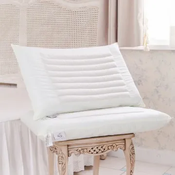 鴻宇HongYew 美國棉授權 天然水漱石枕2入 歷史價格詳細信息